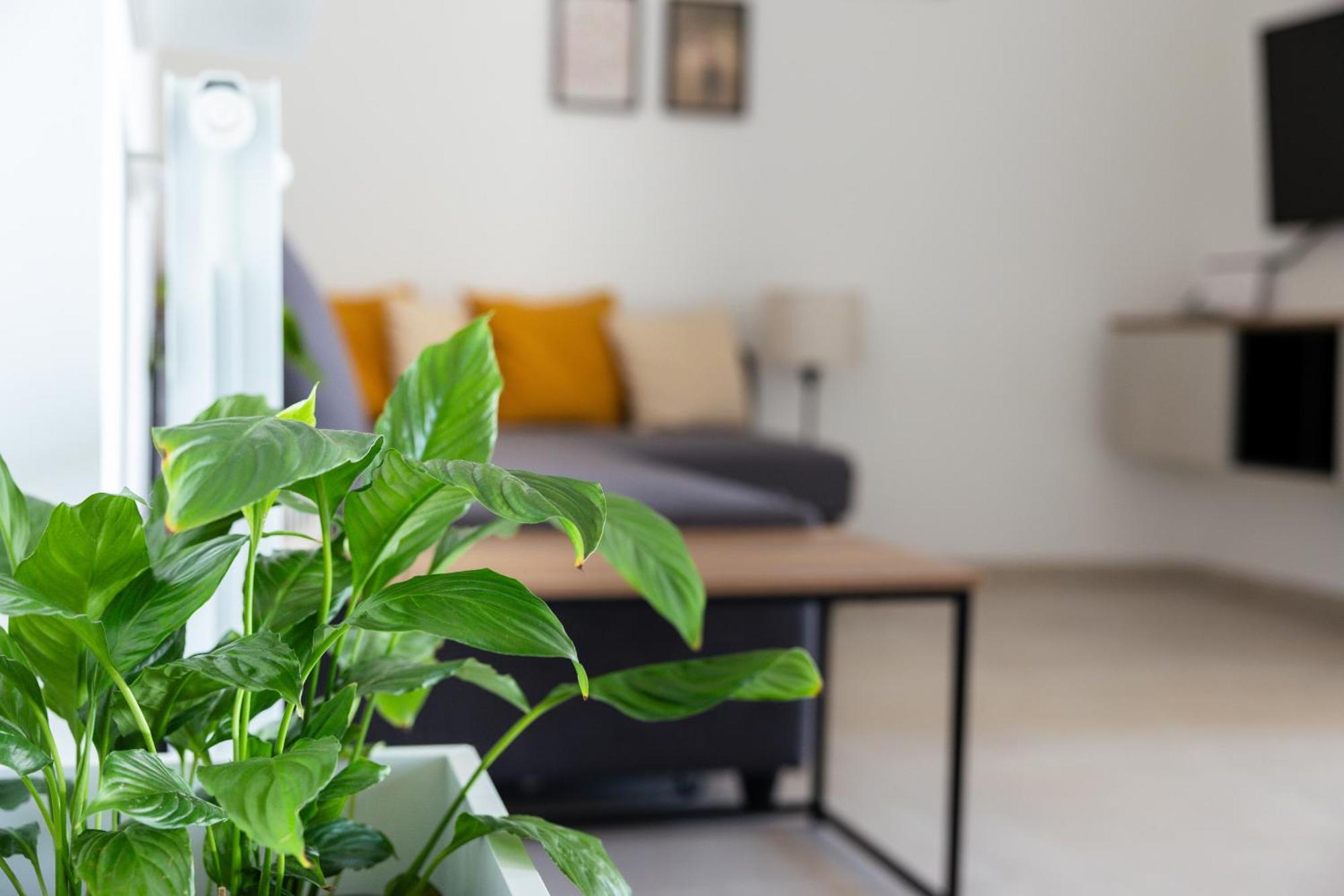 La Terrazza Appartement